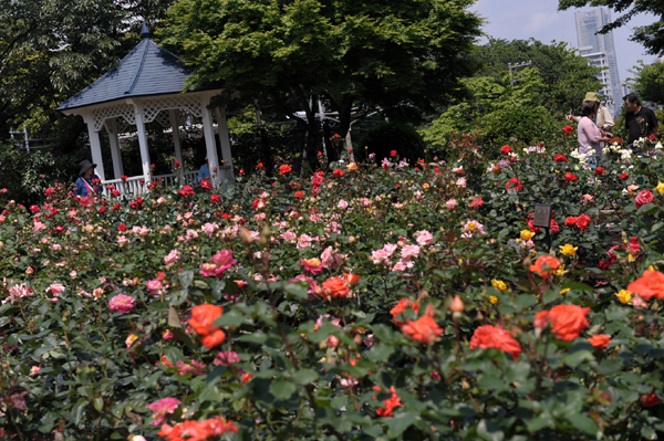 120518 4 DSC_5703.jpg